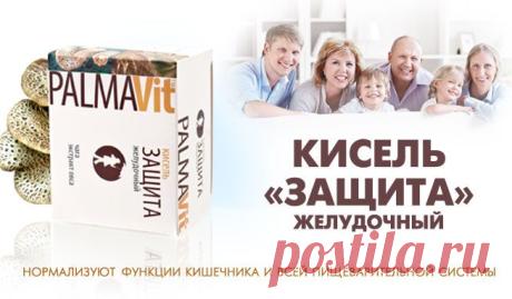 Активные ингридиенты:
Экстракт чаги, входящий в состав киселя, является биологическим стимулятором. Увеличивает защитные свойства организма, активизирует обмен веществ.
Экстракт овса оказывает желчегонное и обволакивающее действие; прекрасное общеукрепляющее средство при хронических гастритах, язвенной болезни, хроническом гепатите, панкреатите.
Сочетание экстрактов чаги и овса мягко обволакивают слизистую желудка, препятствуя проникновению токсинов.
 Нормализуют обмен веществ в организме