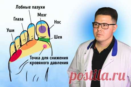 7 зон на стопах, которые запускают метаболизм, гормоны и внутреннюю энергию