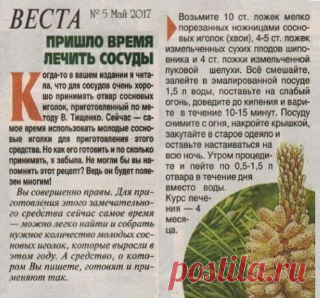 Пришло время лечить сосуды