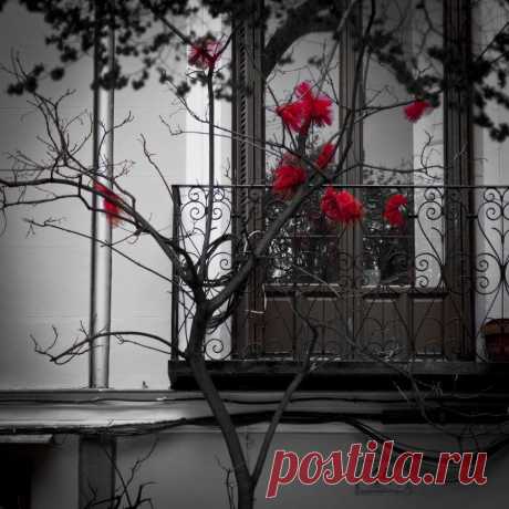 Мой Мир@Mail.Ru