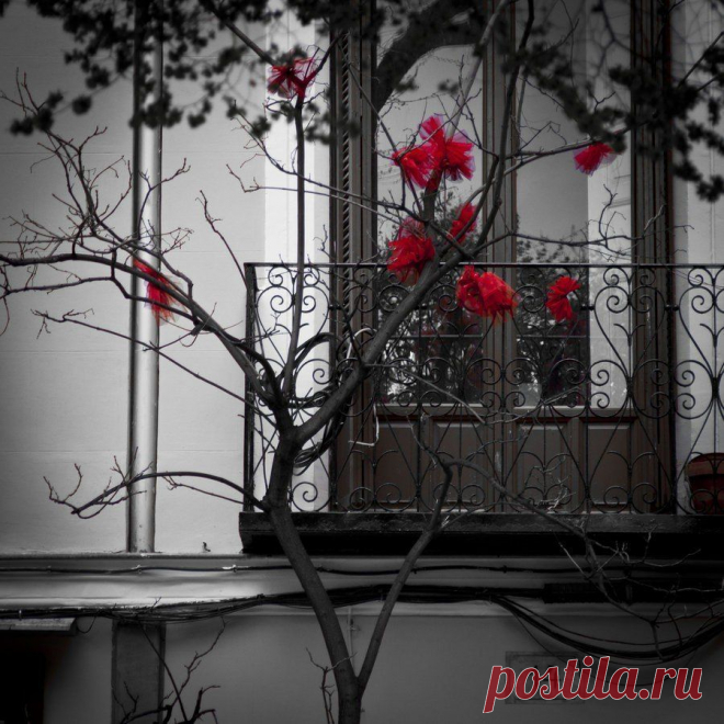 Мой Мир@Mail.Ru