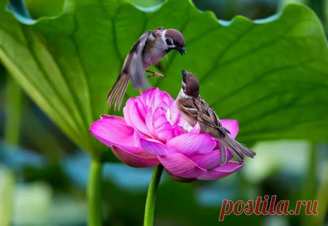 Редактировать описание