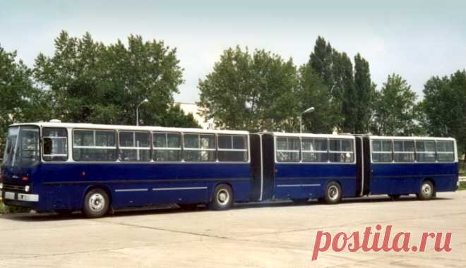 Самый длинный Ikarus: как венгры сделали трёхсекционный автобус
