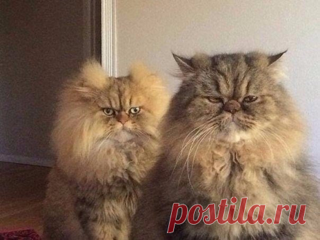 Примерно настолько я бодр и свеж на работе