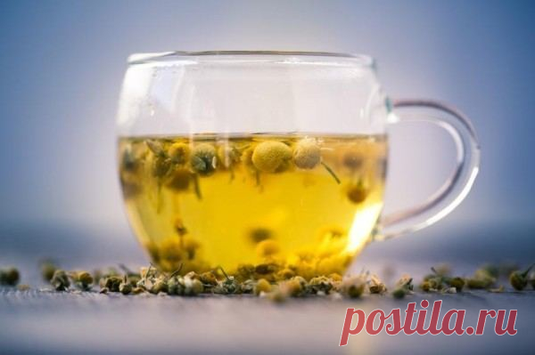 14 Reasons To Have A Cup Of Chamomile Tea Right Now