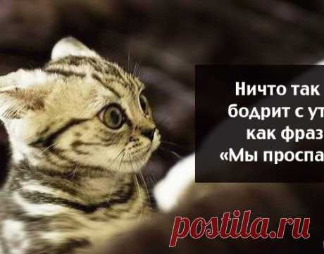 Весёлые картинки))) -ставь лайк,если они подняли тебе настроение!!!)))