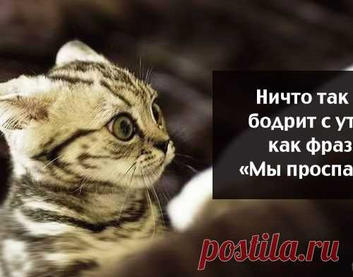 Весёлые картинки))) -ставь лайк,если они подняли тебе настроение!!!)))