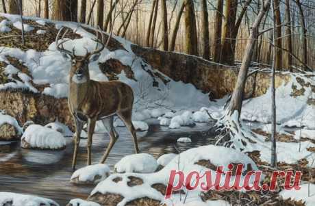 Jim Hansel Editions, LLC. River Bottom Buck