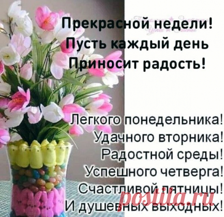 Популярные записи по теме «юмор»