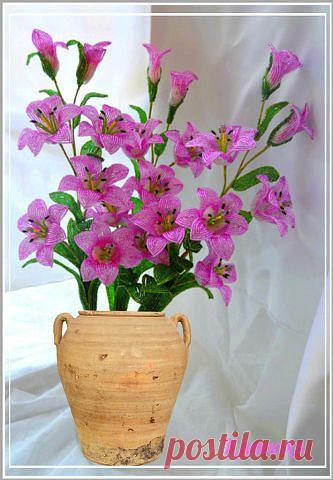 Одноклассники