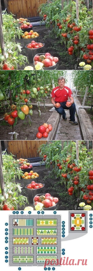 (47) Одноклассники
