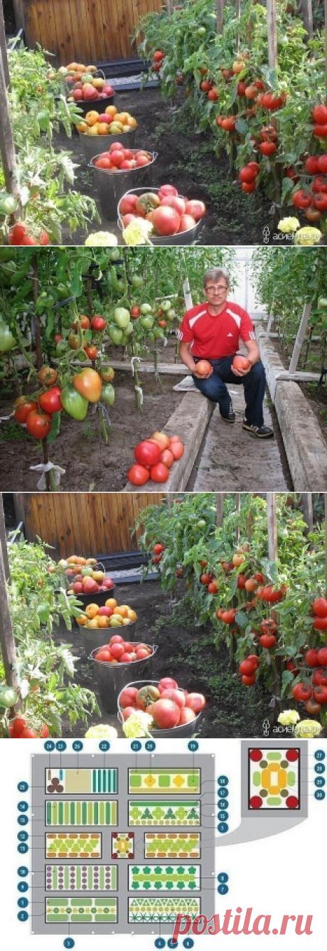 (47) Одноклассники