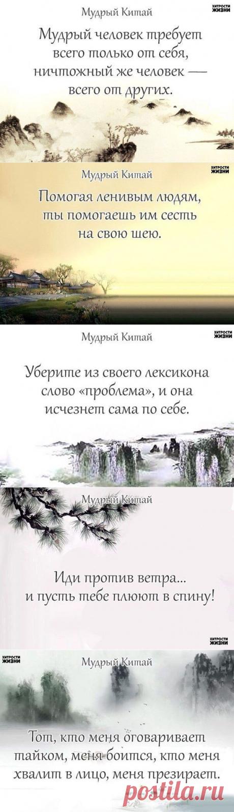 (79) Одноклассники