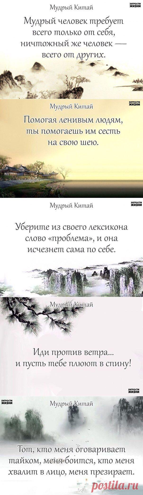 (79) Одноклассники