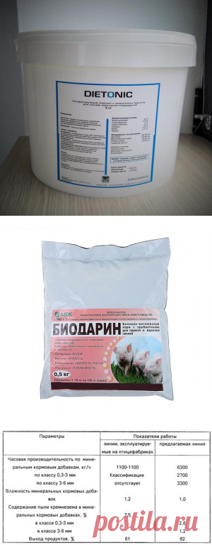 Использование комплексных кормовых добавок в период повышенной стрессовой нагрузки - БиоКорова