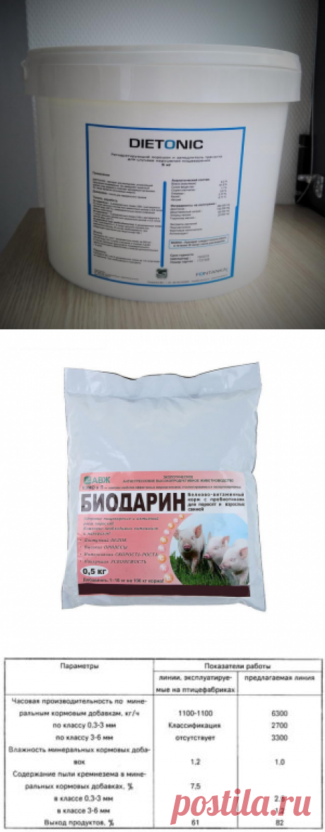 Использование комплексных кормовых добавок в период повышенной стрессовой нагрузки - БиоКорова