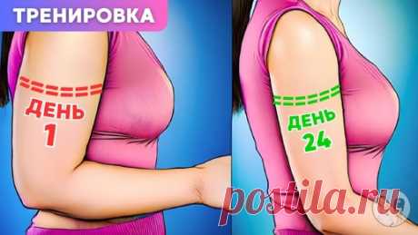 Руки ПОХУДЕЮТ и подтянутся только от этих домашних упражнений и контроля питания: мини-комплекс на 9 минут в день | Главный по фигуре | фитнес | Дзен