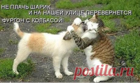 Мы гарантируем вам хорошее настроение