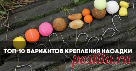 Carptoday — Карпфишинг :: Ловля карпа