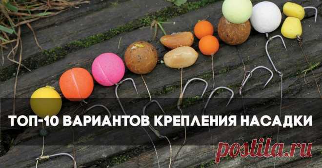 Carptoday — Карпфишинг :: Ловля карпа