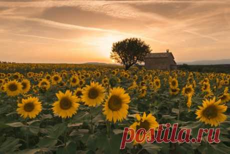 Пейзажная фотография, как медитация