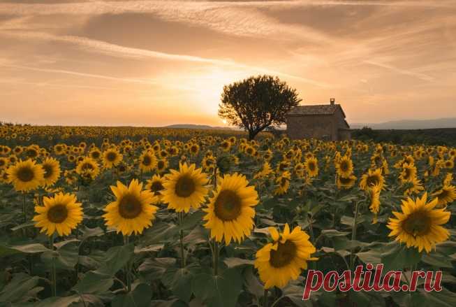 Пейзажная фотография, как медитация