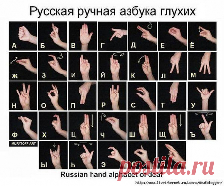 буквы