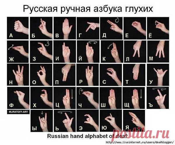 буквы