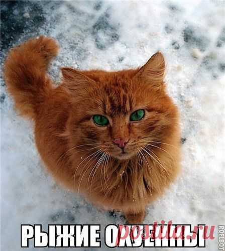 уу милаха))))))