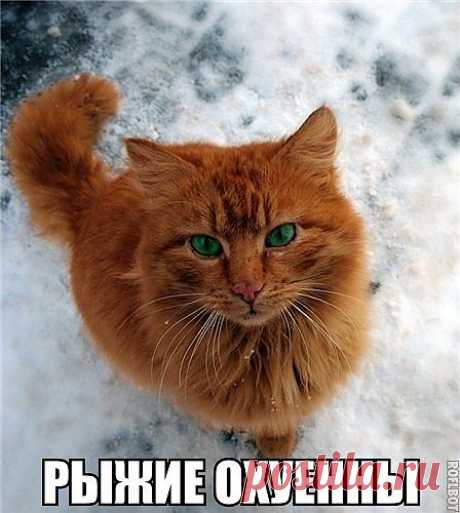 уу милаха))))))