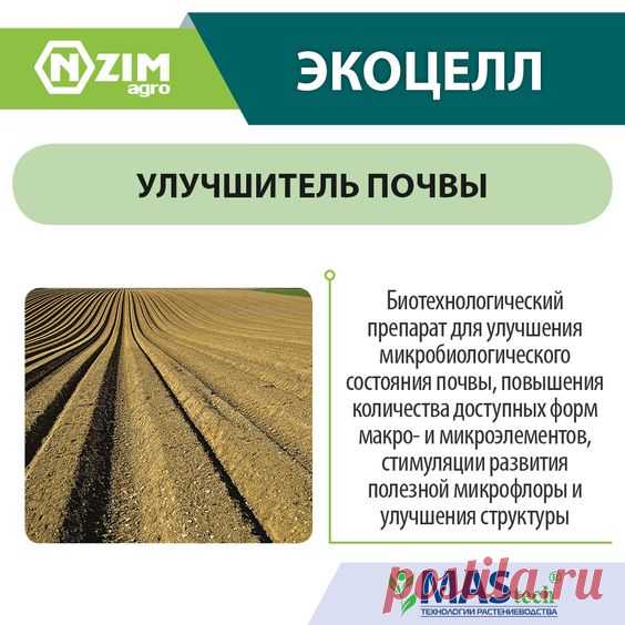ЭкоЦелл ENZIM Agro ~ Биопрепарат для улучшения структуры почвы и доступности в ней макро- и микроэлементов ★ ЭНЗИМ (Украина) ★ Купить ➟ (067) 582-33-22, (095) 582-33-22