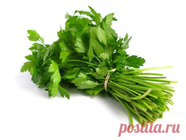 Как использовать петрушку в домашней косметологии | Полезные советы