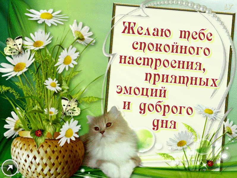 0_b9b8b_c3f77f46_GIForig.gif (798×600)