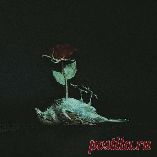 Конец истории был весьма прост. Такой же, как у всех: женятся, ещё любят немножко друг друга, работают. Работают столько, что забывают о любви. 

(с) Альбер Камю