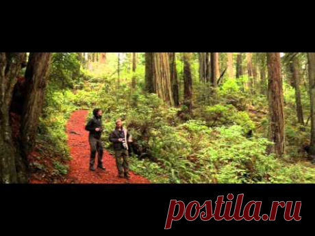 Star Wars Battlefront | Official Trailer |E3 2014