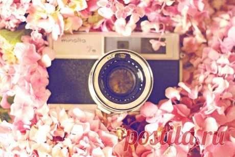 Как выбрать свадебного фотографа? - WeddyWood