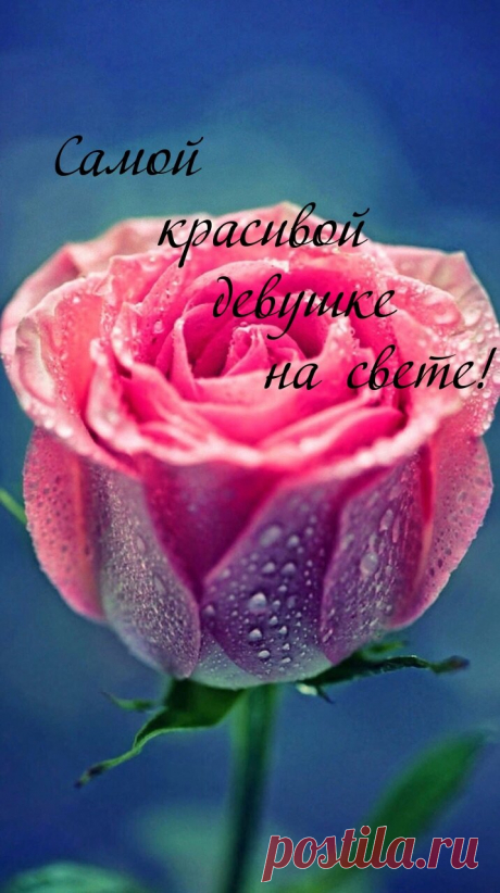Картинки для «Самой красивой девушки на свете!» (35 фото) ⭐ Забавник