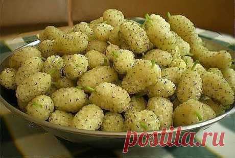 город ХУДЖАНД ленинабад ПРИСОЕДИНЯЙСЯ
30 лет, Таджикистан, Худжанд