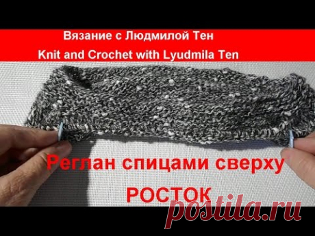 Реглан спицами сверху. Росток.