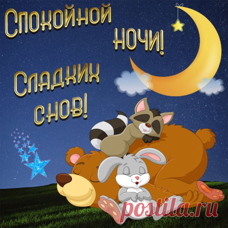 Спокойной ночи! Сладких снов!
