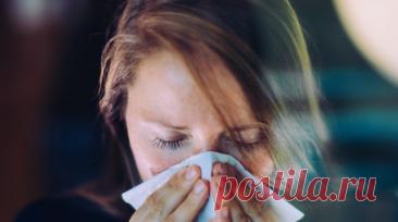 Врач: из-за ошибок в лечении гриппа бактерии стали устойчивыми к антибиотикам. Пульмонолог, врач — клинический фармаколог ФКУЗ «Главный клинический госпиталь МВД России», эксперт компании EGENY Татьяна Молостова рассказала, что ошибки в лечении гриппа привели у тому, что бактерии стали устойчивыми к антибиотикам. Читать далее