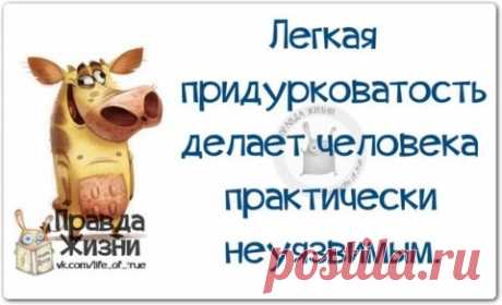 Поздравляю, дайте денег: Порошенко попросил о помощи, поздравляя Трампа