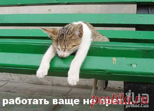 Узнаете себя?) Много интересного по ссылке!