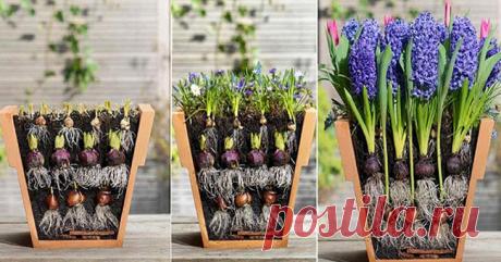 Пожалуй, и меня получится!