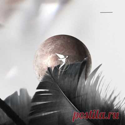 Chris Schweizer – Together
