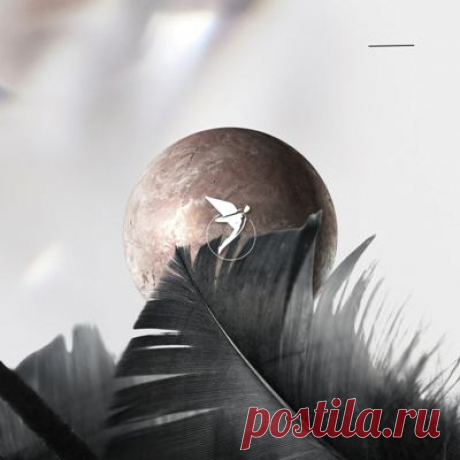 Chris Schweizer – Together