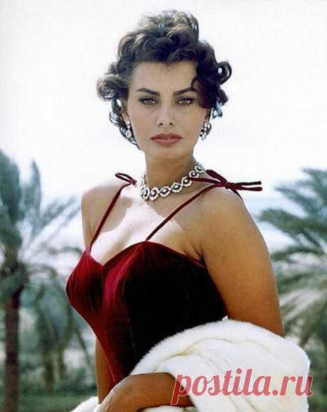 Самой красивой итальянке Софи Лорен 81 год