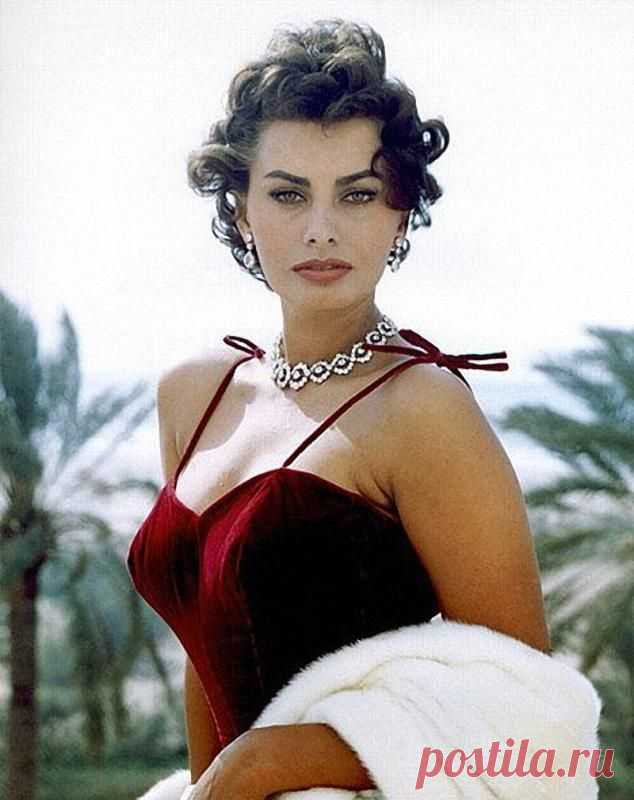 Самой красивой итальянке Софи Лорен 81 год