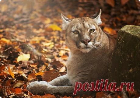 Мой Мир@Mail.Ru