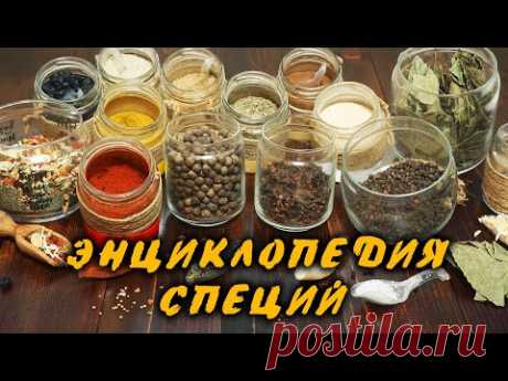 Специи, пряности, приправы (смеси специй для разных блюд)